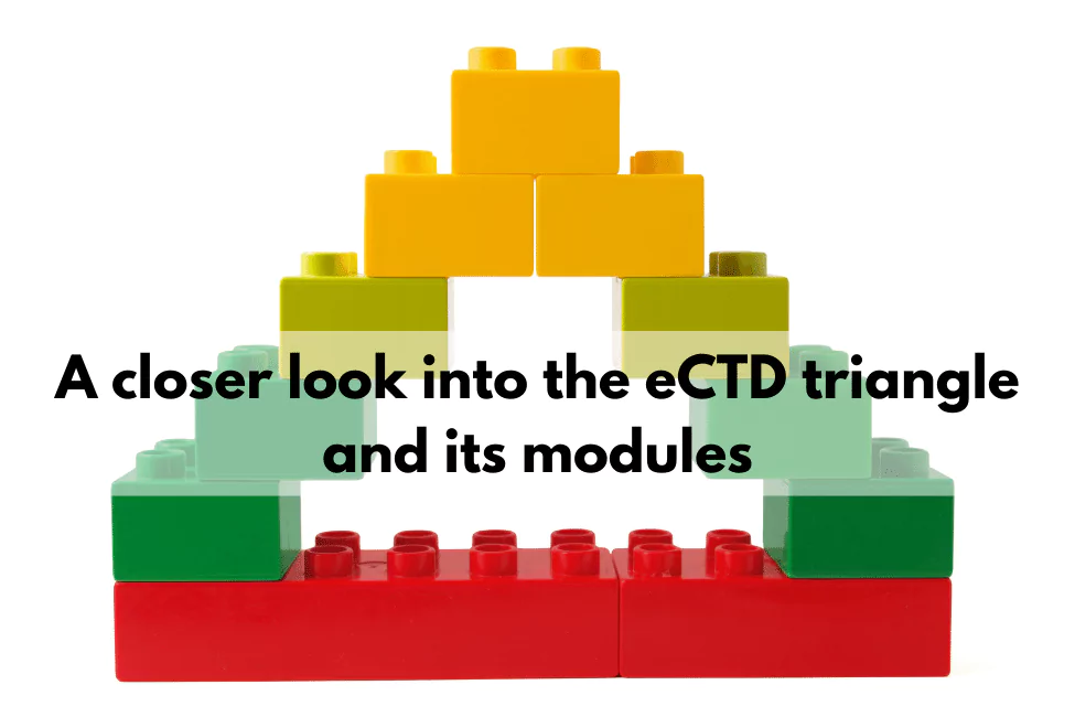 A closer look into the eCTD triangle and its modules